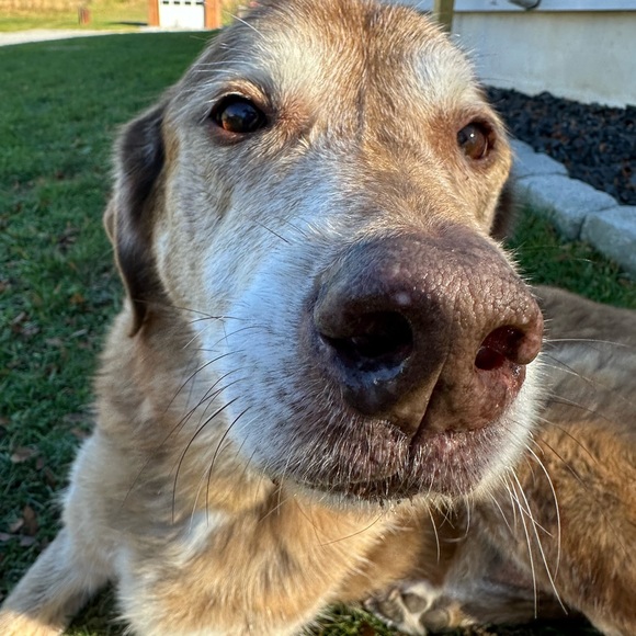 💜 - Picture 4 of 5